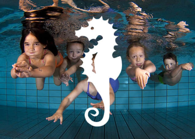 Bild von Kinderschwimmkurs Seepferd