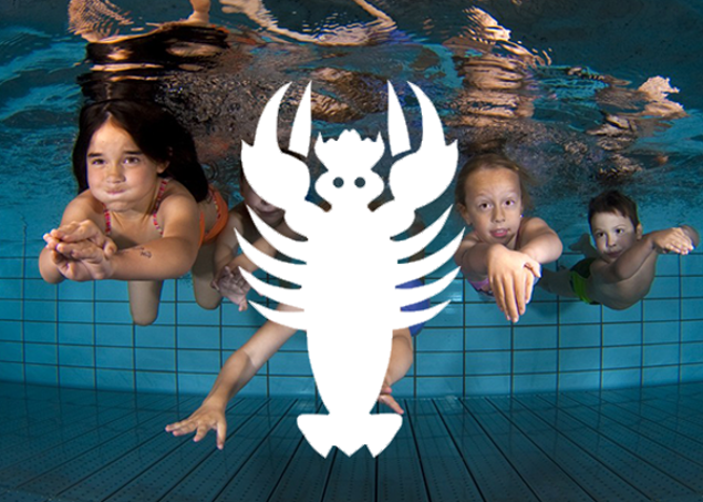 Bild von Kinderschwimmkurs Krebs